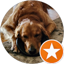 Adam T. profile picture